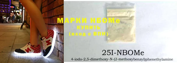 прущие грибы Абаза