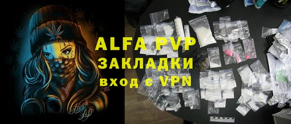 прущие грибы Абаза