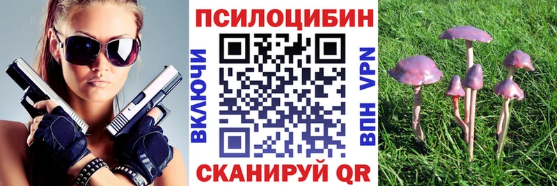 Псилоцибиновые грибы Cubensis  Абаза 